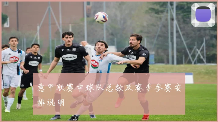 意甲联赛中球队总数及赛季参赛安排说明
