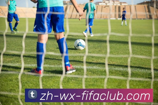 世界杯直播平台生态图