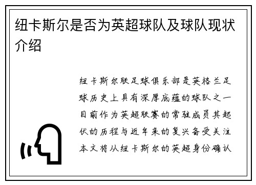 纽卡斯尔是否为英超球队及球队现状介绍