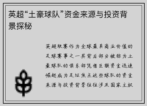 英超“土豪球队”资金来源与投资背景探秘